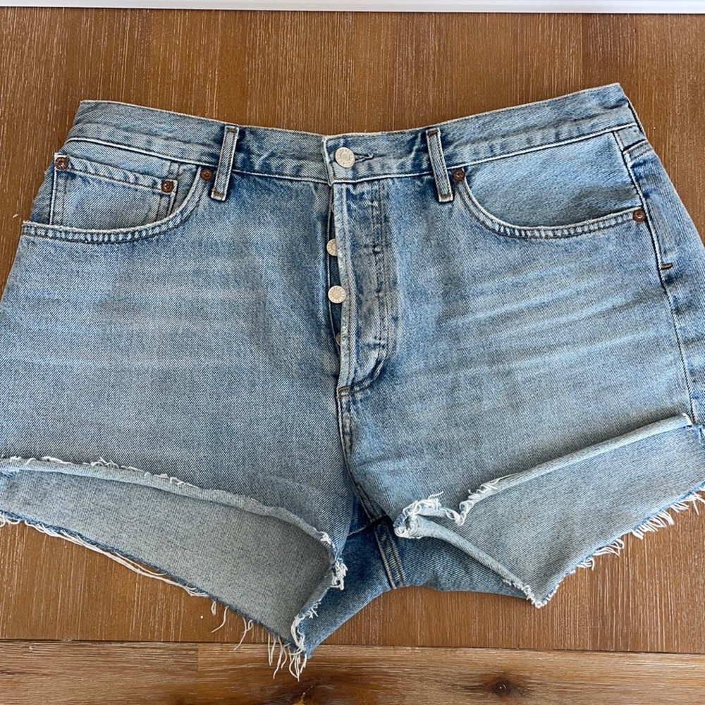 Agolde Parker Short in Riptide